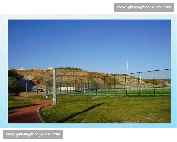 体育城市发展战略与实践探索：打造宜居宜业的多元化体育文化生态圈